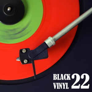 Black Vinyl 22