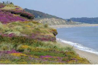 Dunwich Heath