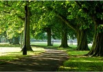 Bourne Park