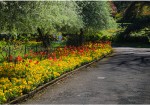 Chantry Park