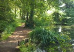 Holywells Park