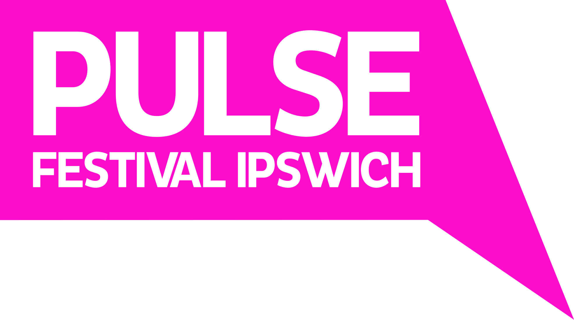 PULSE LOGO 2014
