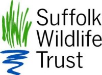 Wildlife skills: Fabulous flying insects @ Holywells Park